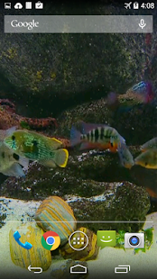 Fish Tank Live Wallpaper(圖4)-速報App