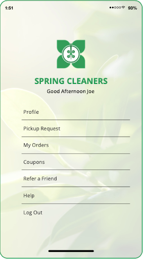 Spring Cleaners Screen 2