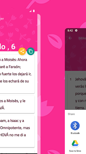 Biblia para la Mujer Screen 3
