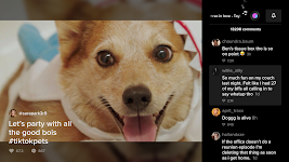 screenshot of TikTok for Android TV