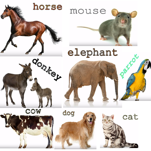 Animal Sounds - Apps on Google Play