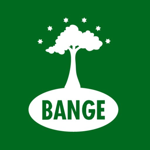 Bange Credit logo