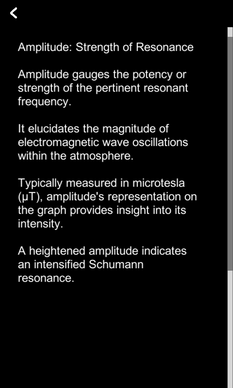 Schumann Resonanz Liveのおすすめ画像2