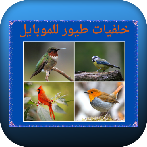 خلفيات طيور للموبايل logo