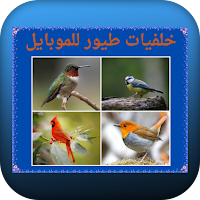 خلفيات طيور للموبايل