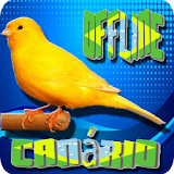 Voice of Brazilian Bird Offline icon