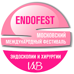 图标图片“ENDOFEST 2022”