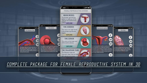 Android application Female Reproductive System 3D screenshort