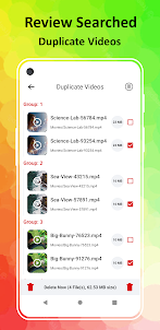 Duplicate Videos Remover