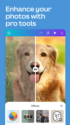 App Screenshots