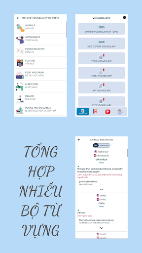 AntEnglish - Learn English Screen 2