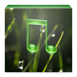 The relaxing sounds of nature icon