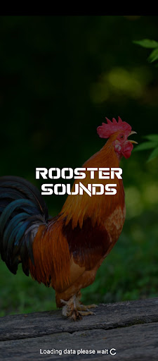Android application rooster sounds screenshort