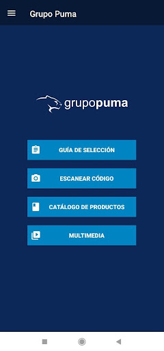 Grupo Puma Screen 2
