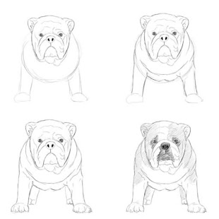 How to draw animals guide 0.1 APK + Mod (Unlimited money) إلى عن على ذكري المظهر