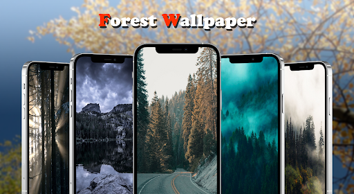 Forest Wallpaper HD Screen 3