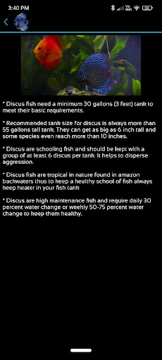 Discus fish care Screen 3