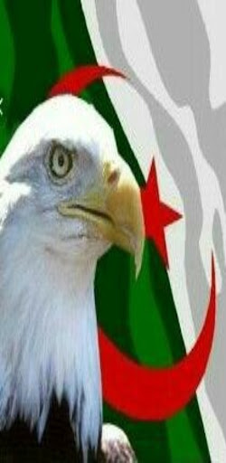 النشيد الوطني الجزائري Screenshot 1 - AppWisp.com