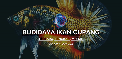 Budidaya Ikan Cupang Hias Lengkap