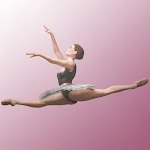 Cover Image of Baixar Dança de treino de balé e alongamento  APK