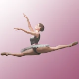 Ballet Workout Dance & Stretch icon
