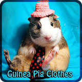 Guinea Pig Clothes icon
