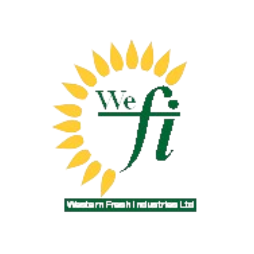 WEFI logo
