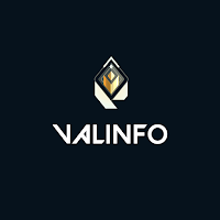 ValInfo Valorant Mobile Stats