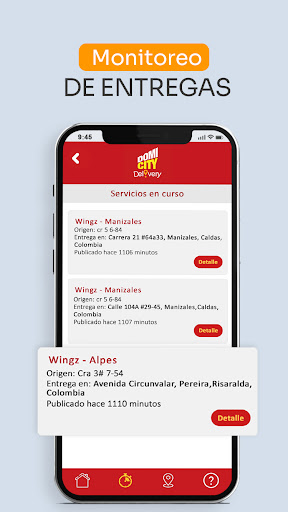 Domicity Delivery Screen 3