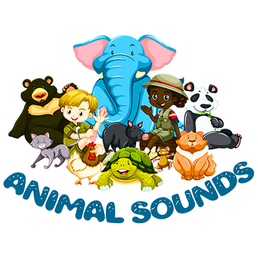Animal Sounds : Listen & Learn Download on Windows
