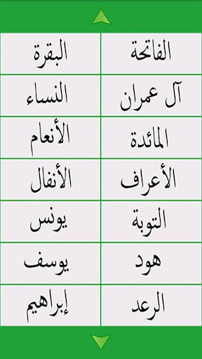 Holy Quran Full ElShmrly Print Screen 2