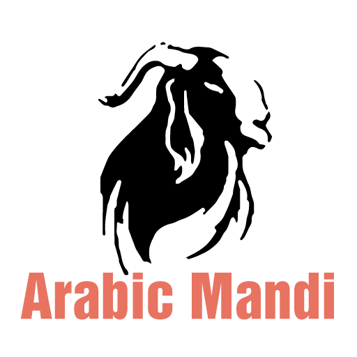 Arabic Mandi