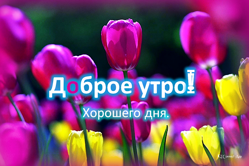 Good Morning- Night in Russian Screen 3