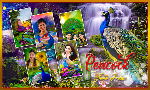 Android application Peacock Photo Frames Garnish screenshort