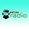 WSM Radio icon