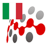ITALIAN IRREGULAR VERBS CONJUGATION + PREPOSITIONS icon