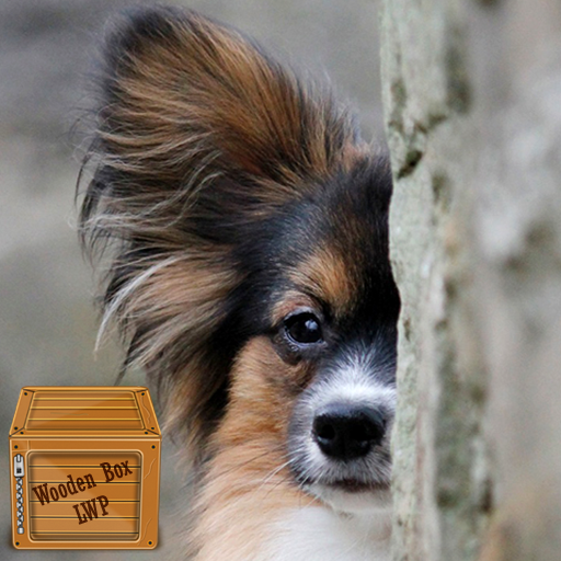 papillon dog wallpaper logo