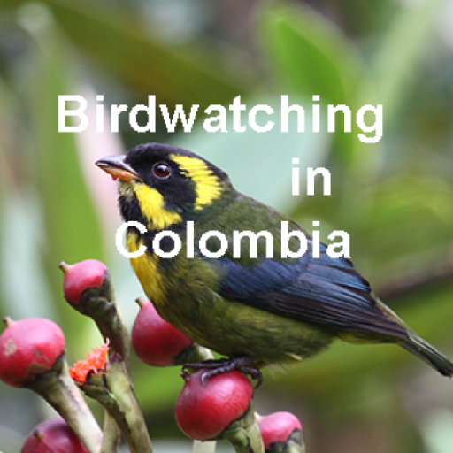 Birdwatching in Colombia Birding Colombia Icon