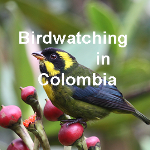 Birdwatching in Colombia logo