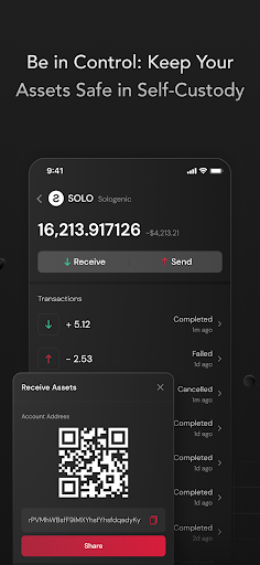 SOLO DEX Screen 2