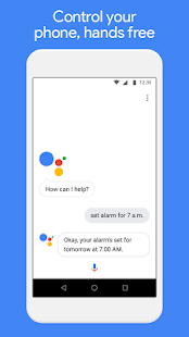 Google Assistant Go Screenshot