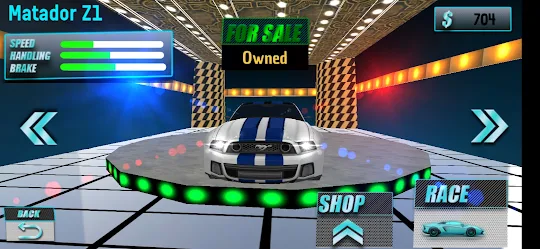 Traffic Car Racing Driving Sim