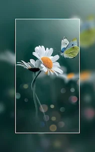 Flower Wallpaper - 4K HD