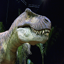 T Rex Dinosaur Videos icon