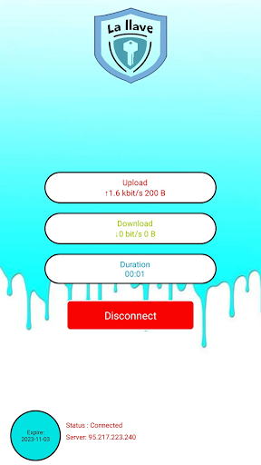 La llave vpn Screen 2
