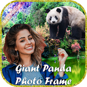 Giant Panda Photo Frame / Panda Photo Editor