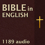 Bible In English icon