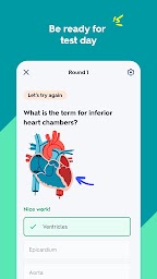 Quizlet: AI-powered Flashcards