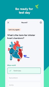 Quizlet: AI-powered Flashcards 3