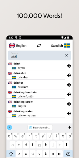 Swedish-English Dictionary Screen 2